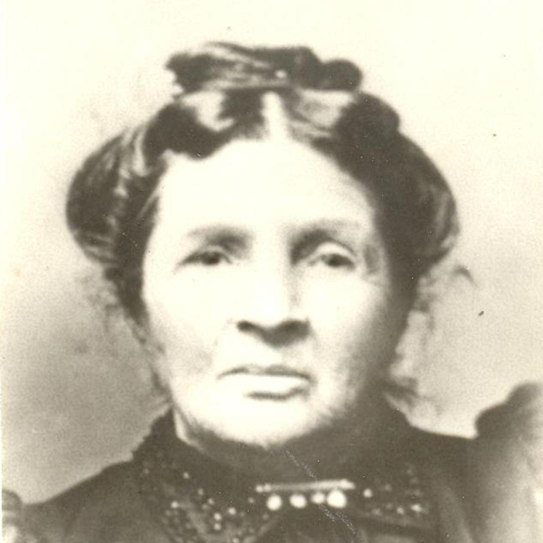 Hannah Elizabeth Johnson (1832 - 1916) Profile